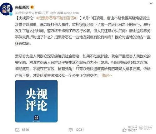 怎样爆料案子的案底呢视频,视频教你如何有效揭露真相